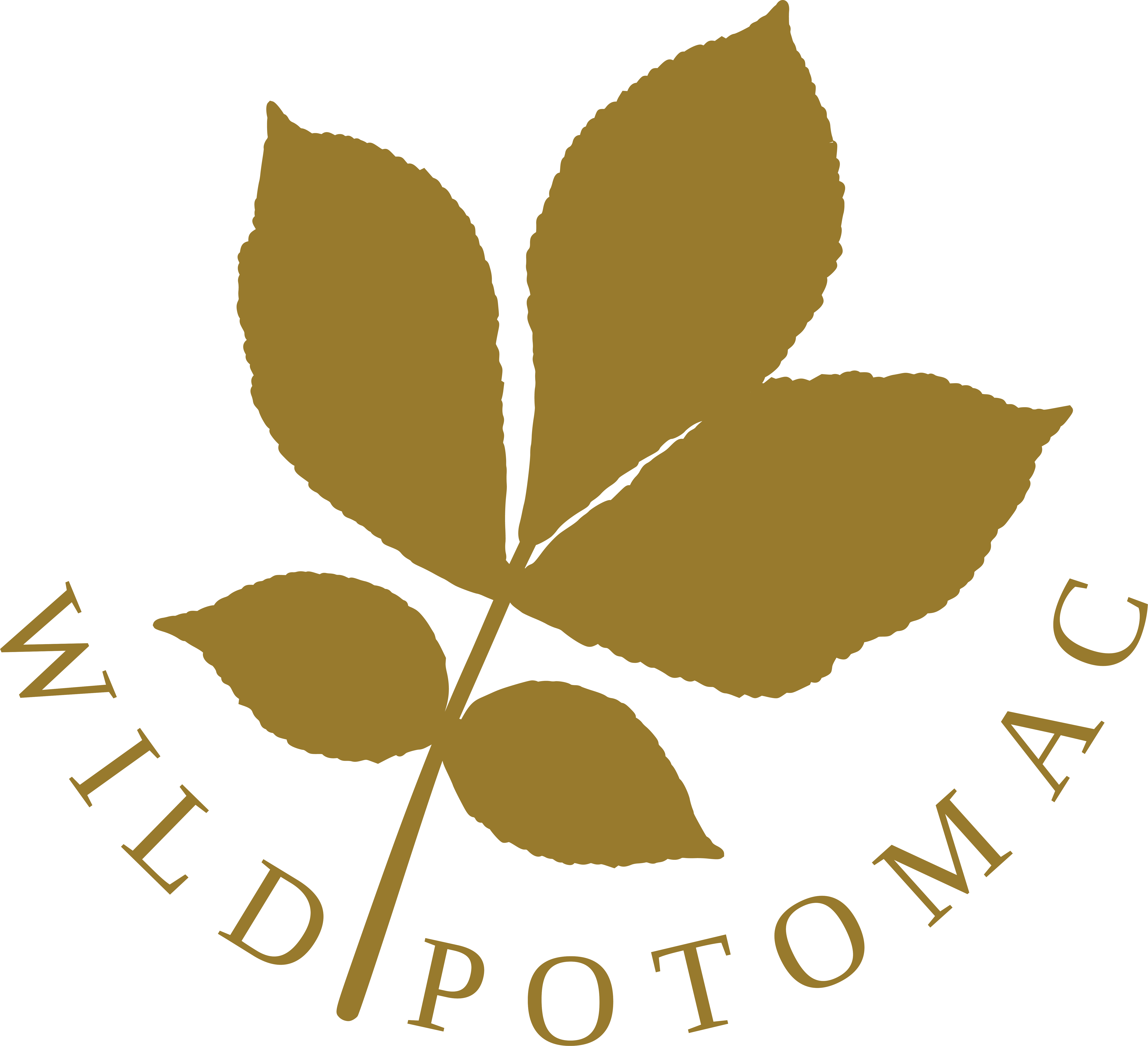 Wild Potomac logo